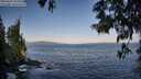 ./images/koeye/fitz-hugh/20250602/fitz-hugh20250602_072010M.jpg
