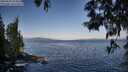 ./images/koeye/fitz-hugh/20250602/fitz-hugh20250602_073010M.jpg