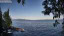 ./images/koeye/fitz-hugh/20250602/fitz-hugh20250602_073510M.jpg
