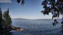 ./images/koeye/fitz-hugh/20250602/fitz-hugh20250602_075508M.jpg
