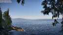 ./images/koeye/fitz-hugh/20250602/fitz-hugh20250602_080011M.jpg