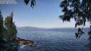./images/koeye/fitz-hugh/20250602/fitz-hugh20250602_081509M.jpg