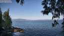 ./images/koeye/fitz-hugh/20250602/fitz-hugh20250602_082008M.jpg