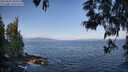./images/koeye/fitz-hugh/20250602/fitz-hugh20250602_082510M.jpg