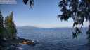 ./images/koeye/fitz-hugh/20250602/fitz-hugh20250602_083508M.jpg
