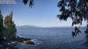 ./images/koeye/fitz-hugh/20250602/fitz-hugh20250602_084010M.jpg
