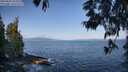 ./images/koeye/fitz-hugh/20250602/fitz-hugh20250602_084509M.jpg