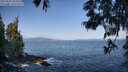 ./images/koeye/fitz-hugh/20250602/fitz-hugh20250602_085010M.jpg