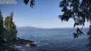 ./images/koeye/fitz-hugh/20250602/fitz-hugh20250602_085510M.jpg
