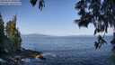 ./images/koeye/fitz-hugh/20250602/fitz-hugh20250602_090012M.jpg