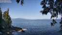 ./images/koeye/fitz-hugh/20250602/fitz-hugh20250602_090510M.jpg
