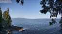 ./images/koeye/fitz-hugh/20250602/fitz-hugh20250602_091011M.jpg