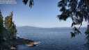 ./images/koeye/fitz-hugh/20250602/fitz-hugh20250602_091509M.jpg