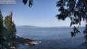 ./images/koeye/fitz-hugh/20250602/fitz-hugh20250602_092010M.jpg