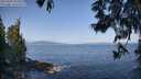 ./images/koeye/fitz-hugh/20250602/fitz-hugh20250602_092510M.jpg