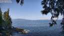 ./images/koeye/fitz-hugh/20250602/fitz-hugh20250602_093011M.jpg