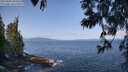 ./images/koeye/fitz-hugh/20250602/fitz-hugh20250602_094510M.jpg