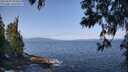 ./images/koeye/fitz-hugh/20250602/fitz-hugh20250602_095010M.jpg