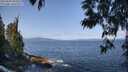 ./images/koeye/fitz-hugh/20250602/fitz-hugh20250602_095510M.jpg