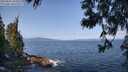 ./images/koeye/fitz-hugh/20250602/fitz-hugh20250602_100011M.jpg