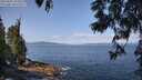 ./images/koeye/fitz-hugh/20250602/fitz-hugh20250602_103011M.jpg