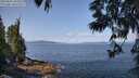 ./images/koeye/fitz-hugh/20250602/fitz-hugh20250602_103510M.jpg