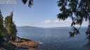 ./images/koeye/fitz-hugh/20250602/fitz-hugh20250602_104010M.jpg