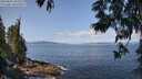 ./images/koeye/fitz-hugh/20250602/fitz-hugh20250602_104511M.jpg
