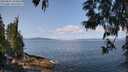 ./images/koeye/fitz-hugh/20250602/fitz-hugh20250602_105010M.jpg