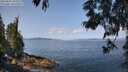 ./images/koeye/fitz-hugh/20250602/fitz-hugh20250602_105509M.jpg
