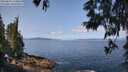 ./images/koeye/fitz-hugh/20250602/fitz-hugh20250602_110012M.jpg
