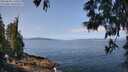./images/koeye/fitz-hugh/20250602/fitz-hugh20250602_110510M.jpg