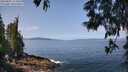 ./images/koeye/fitz-hugh/20250602/fitz-hugh20250602_111010M.jpg