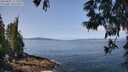./images/koeye/fitz-hugh/20250602/fitz-hugh20250602_111509M.jpg