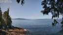 ./images/koeye/fitz-hugh/20250602/fitz-hugh20250602_113008M.jpg
