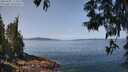 ./images/koeye/fitz-hugh/20250602/fitz-hugh20250602_113509M.jpg