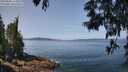 ./images/koeye/fitz-hugh/20250602/fitz-hugh20250602_114508M.jpg