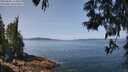 ./images/koeye/fitz-hugh/20250602/fitz-hugh20250602_115010M.jpg