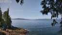 ./images/koeye/fitz-hugh/20250602/fitz-hugh20250602_115510M.jpg