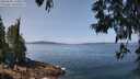 ./images/koeye/fitz-hugh/20250602/fitz-hugh20250602_120011M.jpg