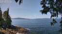./images/koeye/fitz-hugh/20250602/fitz-hugh20250602_121009M.jpg
