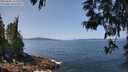 ./images/koeye/fitz-hugh/20250602/fitz-hugh20250602_121510M.jpg
