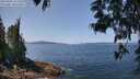 ./images/koeye/fitz-hugh/20250602/fitz-hugh20250602_122510M.jpg