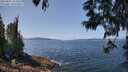 ./images/koeye/fitz-hugh/20250602/fitz-hugh20250602_123509M.jpg