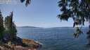 ./images/koeye/fitz-hugh/20250602/fitz-hugh20250602_124510M.jpg