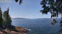 ./images/koeye/fitz-hugh/20250602/fitz-hugh20250602_125008M.jpg