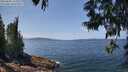 ./images/koeye/fitz-hugh/20250602/fitz-hugh20250602_125510M.jpg