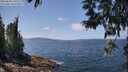 ./images/koeye/fitz-hugh/20250602/fitz-hugh20250602_130509M.jpg