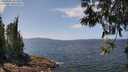 ./images/koeye/fitz-hugh/20250602/fitz-hugh20250602_131511M.jpg