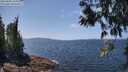 ./images/koeye/fitz-hugh/20250602/fitz-hugh20250602_132010M.jpg